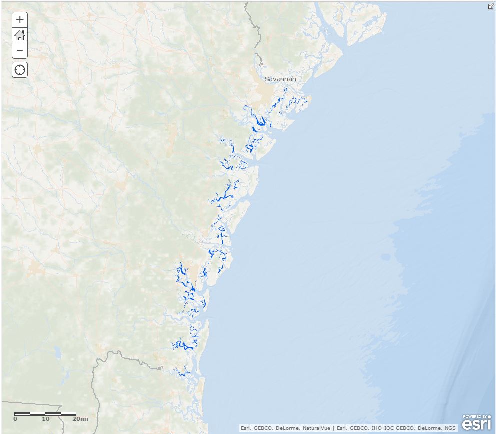 Georgia Coast Map Beaches Gcamp