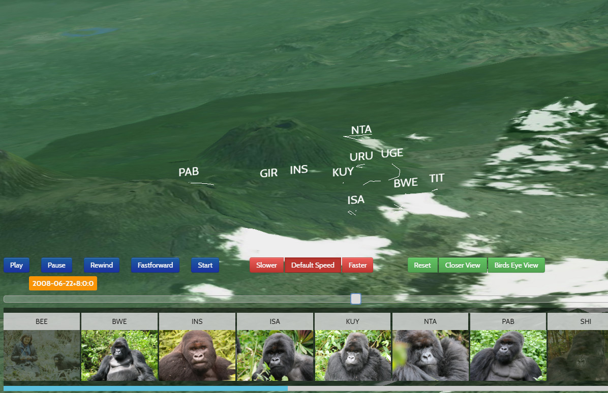 Tracking Gorillas in 3D