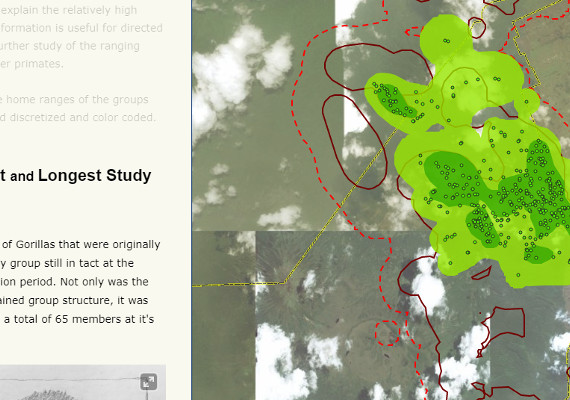 Combining the results from analysis and the story behind the preservation efforts of the Gorilla Fund, a Story Map was created to display the ranging data in an interactive environment.